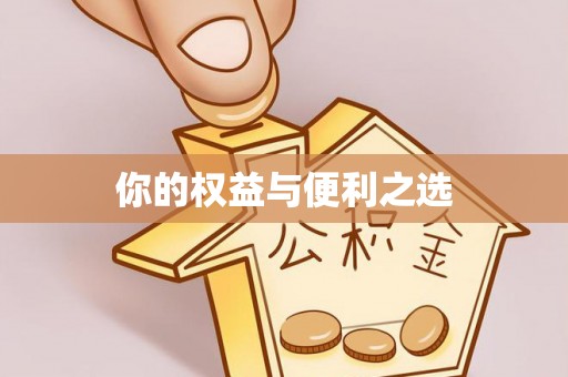 淳化你的权益与便利之选