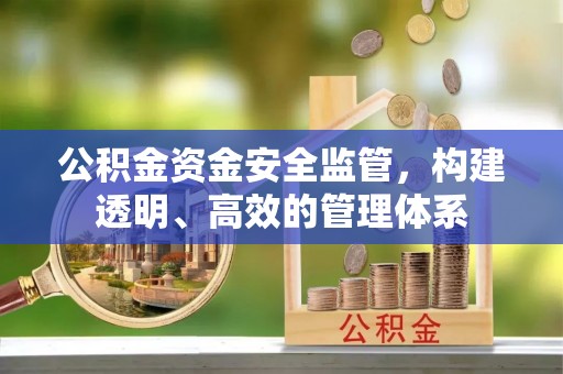 淳化公积金资金安全监管，构建透明、高效的管理体系