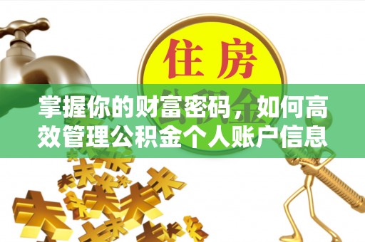 淳化掌握你的财富密码，如何高效管理公积金个人账户信息