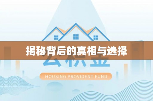 淳化揭秘背后的真相与选择