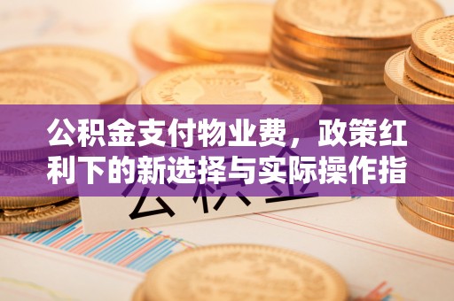 淳化公积金支付物业费，政策红利下的新选择与实际操作指南