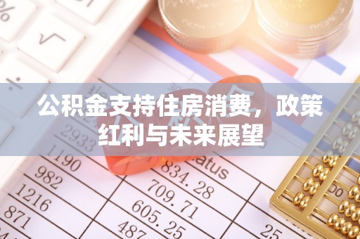 淳化公积金支持住房消费，政策红利与未来展望