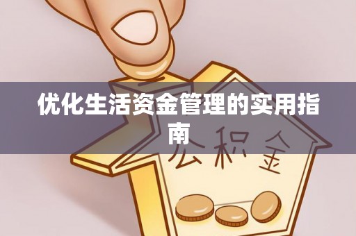 淳化优化生活资金管理的实用指南