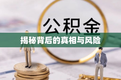 淳化揭秘背后的真相与风险