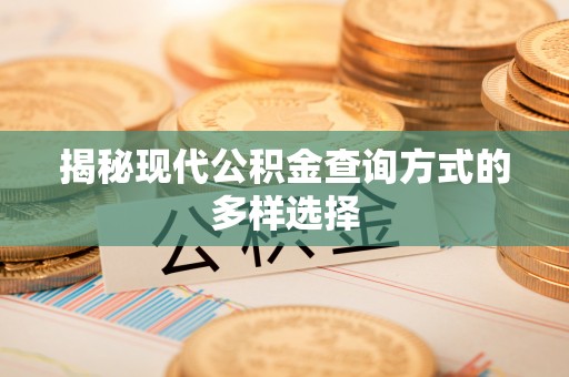 淳化揭秘现代公积金查询方式的多样选择
