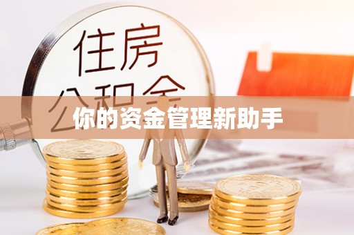 淳化你的资金管理新助手