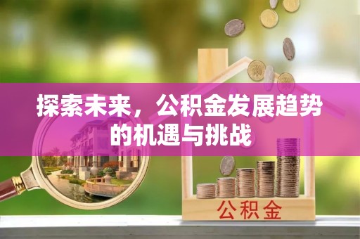 淳化探索未来，公积金发展趋势的机遇与挑战