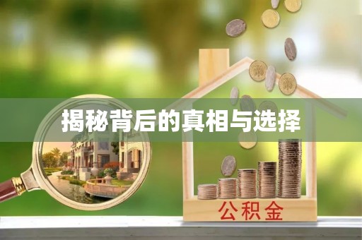 淳化揭秘背后的真相与选择