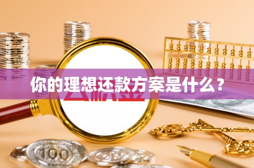 淳化你的理想还款方案是什么？