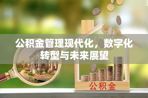 淳化公积金管理现代化，数字化转型与未来展望