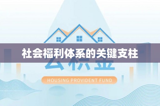淳化社会福利体系的关键支柱