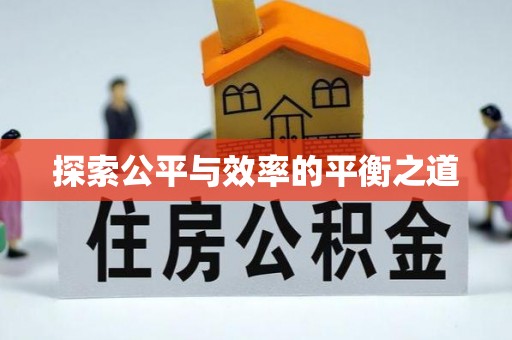 淳化探索公平与效率的平衡之道