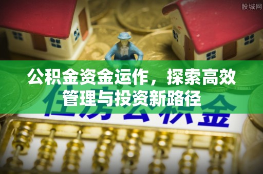 淳化公积金资金运作，探索高效管理与投资新路径