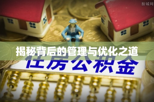 淳化揭秘背后的管理与优化之道
