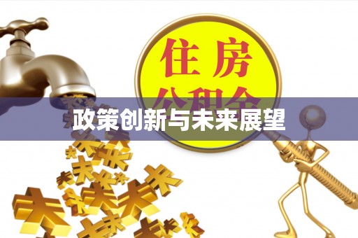 淳化政策创新与未来展望